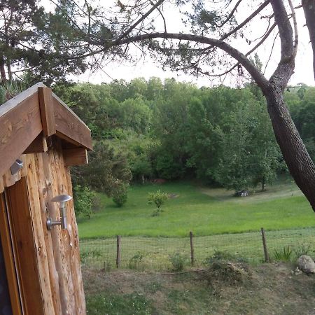 La Cabane En Bois Villemur-sur-Tarn Dış mekan fotoğraf