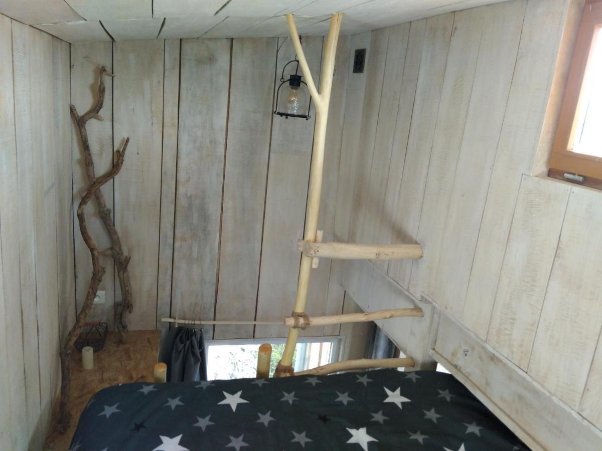 La Cabane En Bois Villemur-sur-Tarn Dış mekan fotoğraf