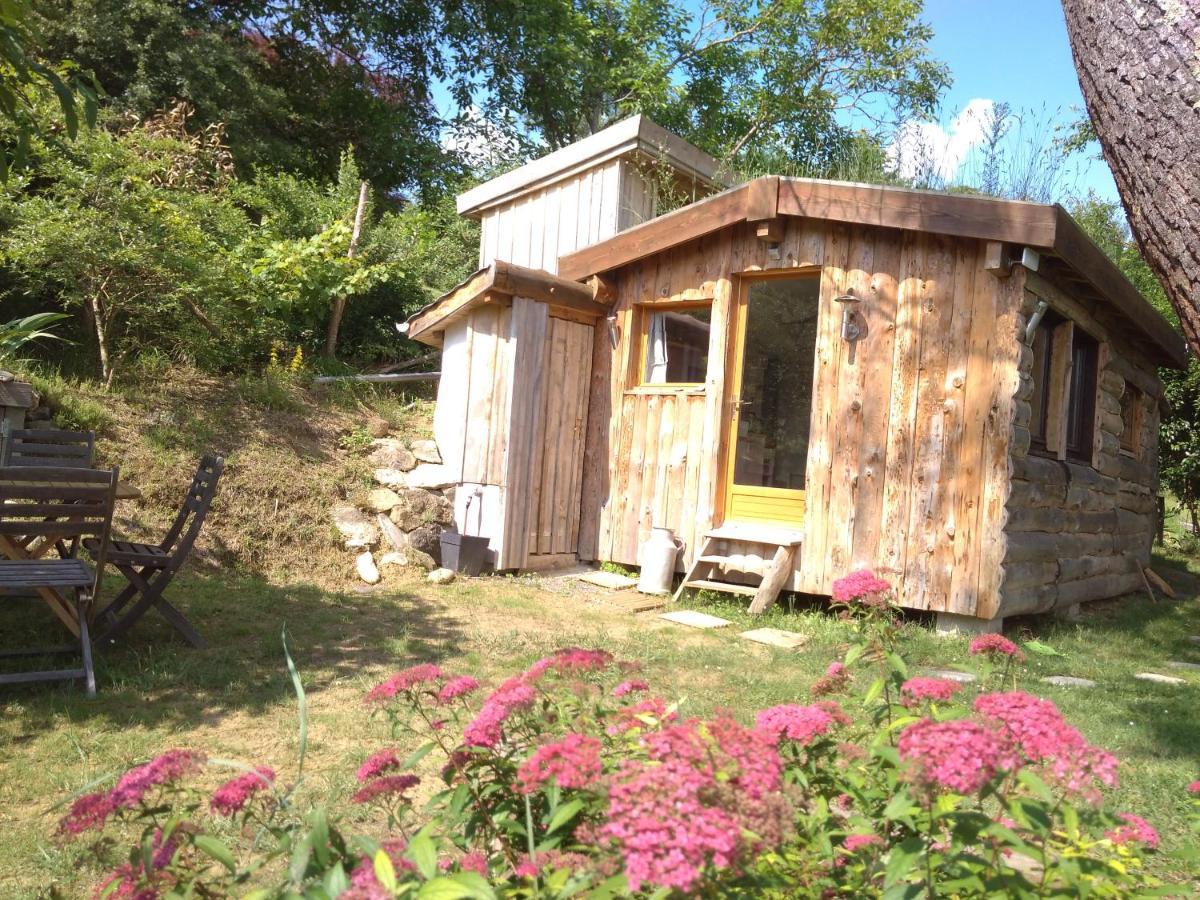 La Cabane En Bois Villemur-sur-Tarn Dış mekan fotoğraf