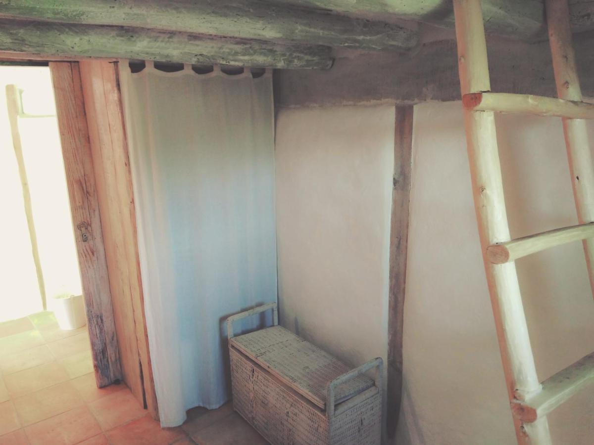 La Cabane En Bois Villemur-sur-Tarn Dış mekan fotoğraf