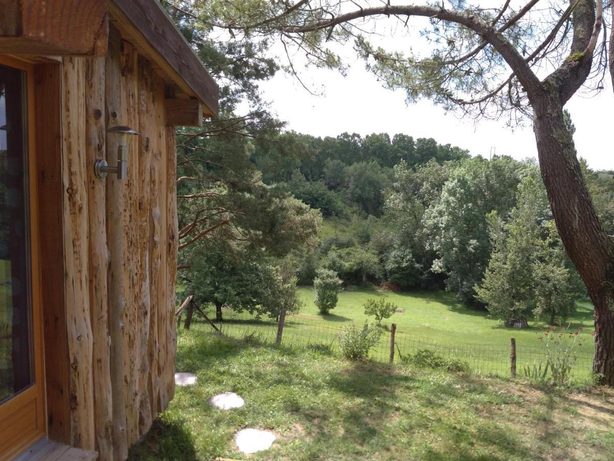 La Cabane En Bois Villemur-sur-Tarn Dış mekan fotoğraf