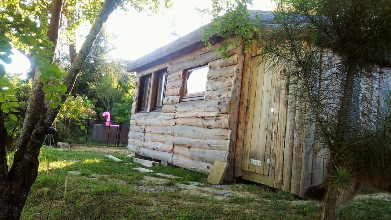 La Cabane En Bois Villemur-sur-Tarn Dış mekan fotoğraf