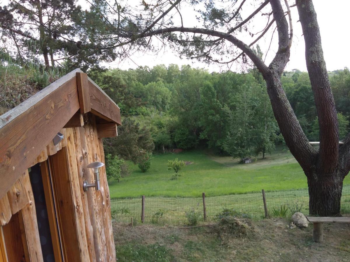 La Cabane En Bois Villemur-sur-Tarn Dış mekan fotoğraf