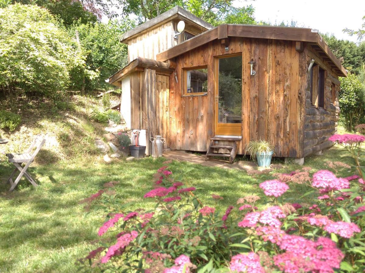 La Cabane En Bois Villemur-sur-Tarn Dış mekan fotoğraf