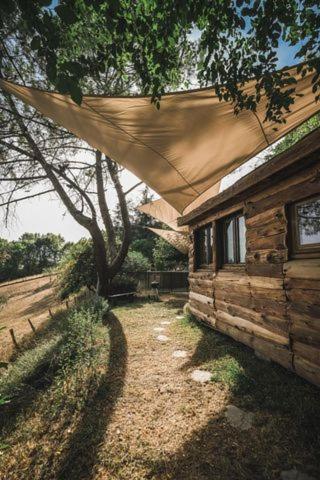 La Cabane En Bois Villemur-sur-Tarn Dış mekan fotoğraf