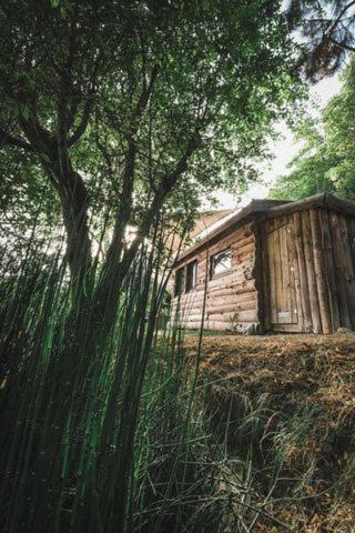 La Cabane En Bois Villemur-sur-Tarn Dış mekan fotoğraf